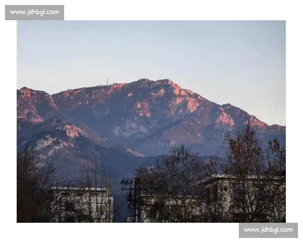 泰山困局：双线迷失下的重建之惑