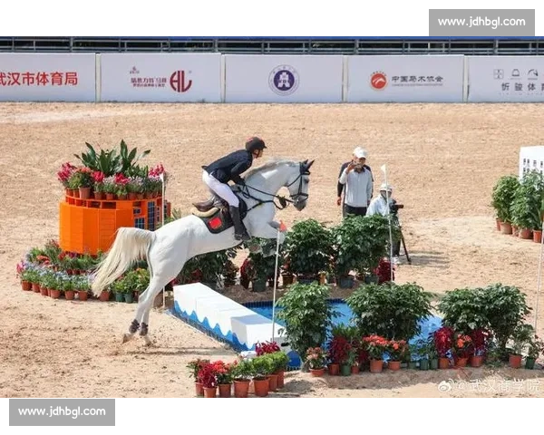 巅峰对决！国内顶级马术赛在邯郸激情开赛